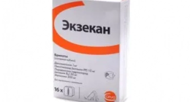 Eczecan: как да дам куче